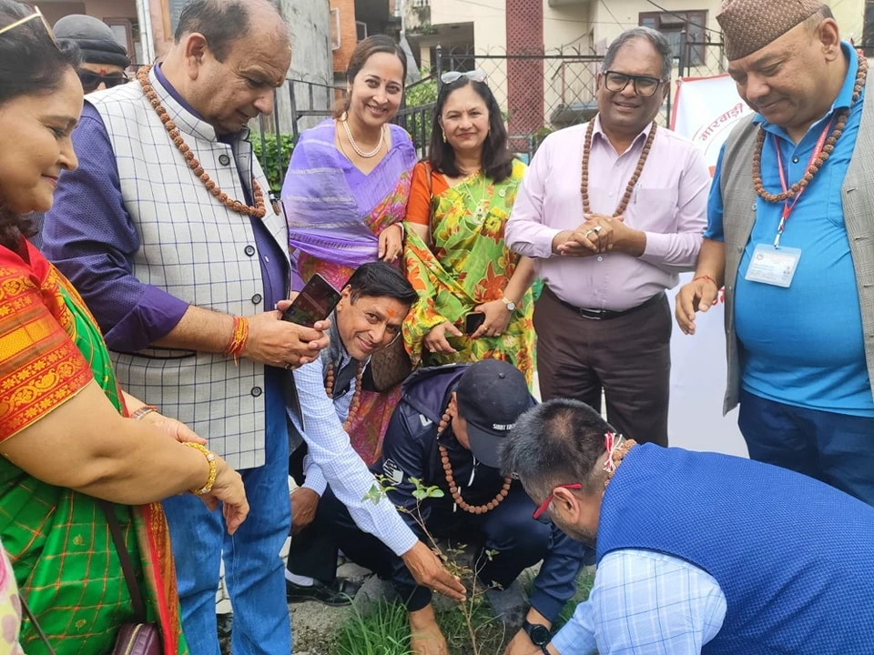 Tree plantation event